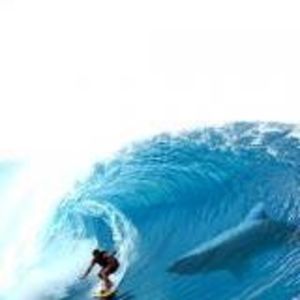 Meet your Posher, Darryl